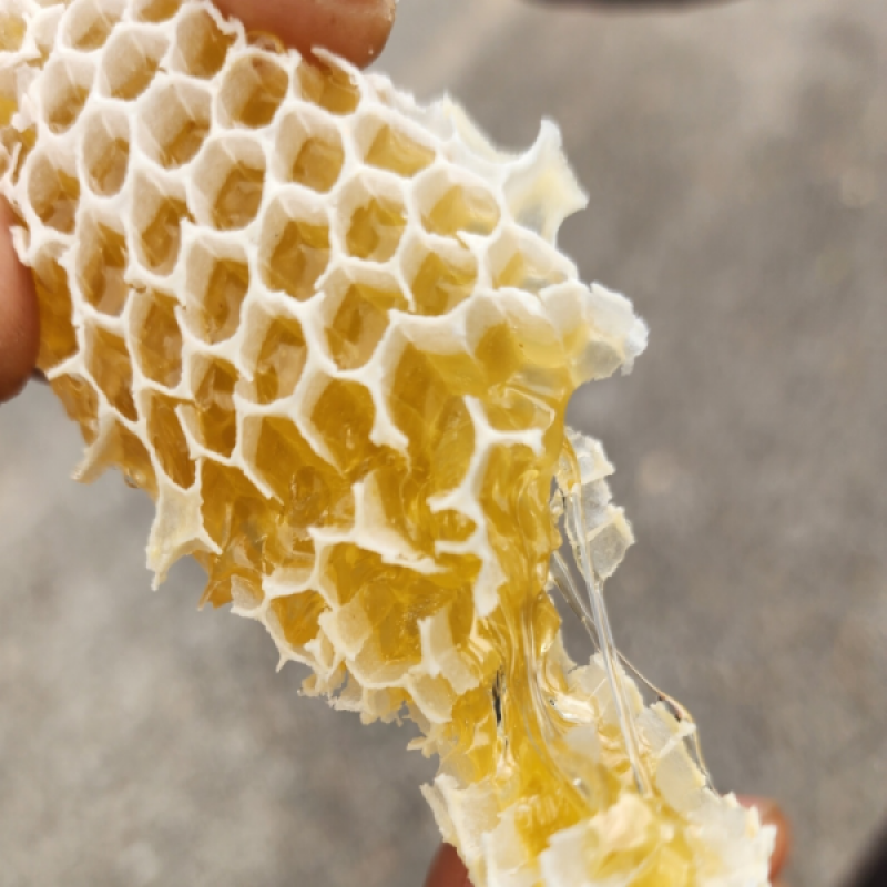 양구몰,현우양봉달꿀 양구방산 천연 야생화꿀 2.4kg